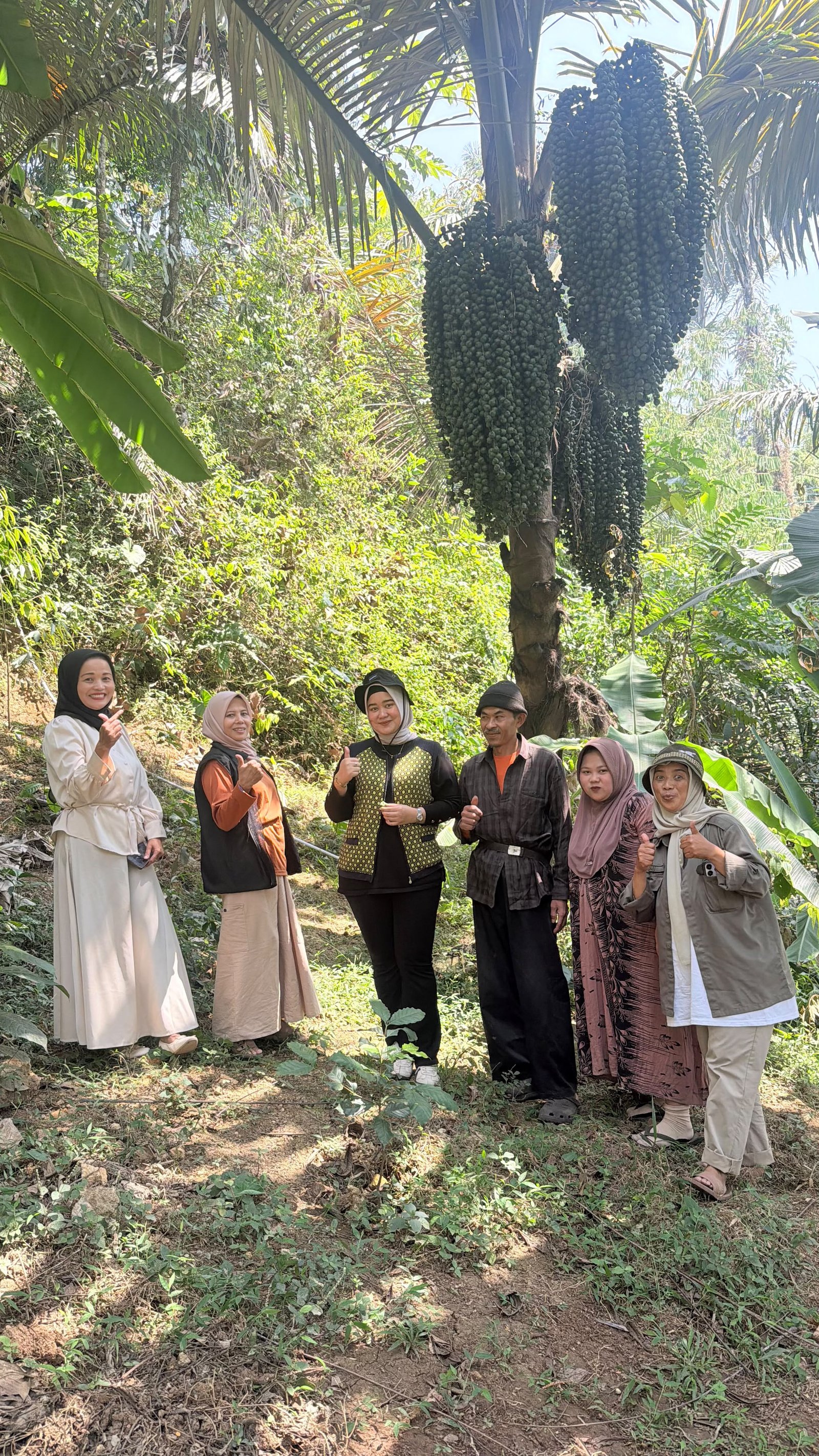 Kebun aren