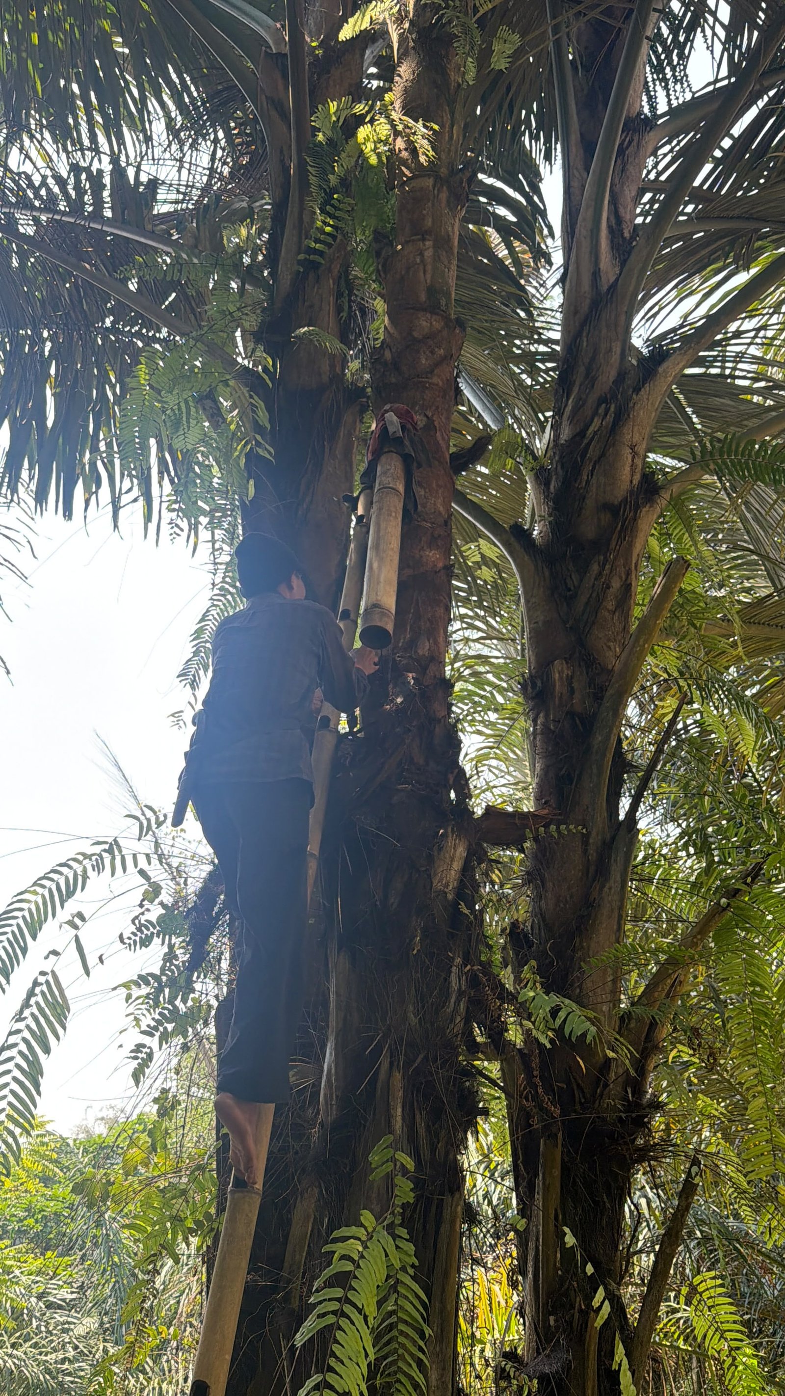 Tim Sweet Craft dengan petani