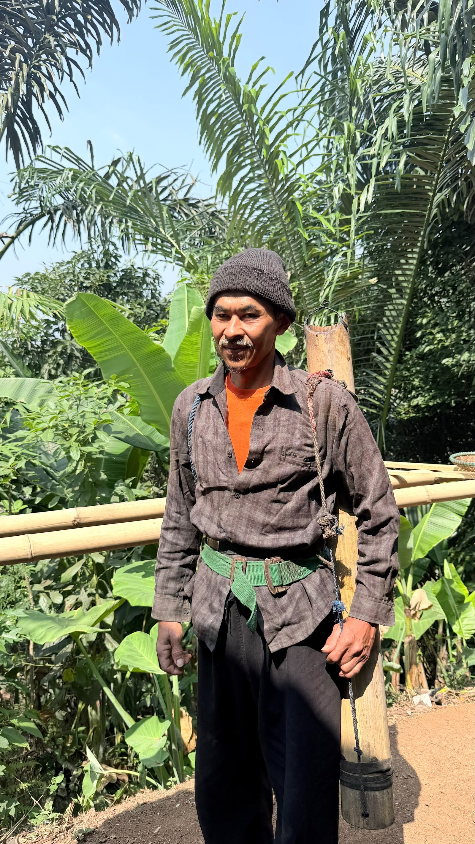 Kegiatan di kebun aren
